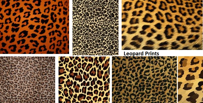 Women's Leopard Print Dress guide and information resource about Women ...