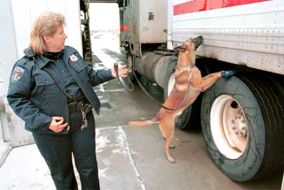Canine Enforcement Officer checking a truck at the Mariposa border crossing in Arizona.